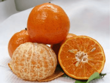 What are the Benefits of Honey Mandarin Oranges? – Fresh from the Sunbelt