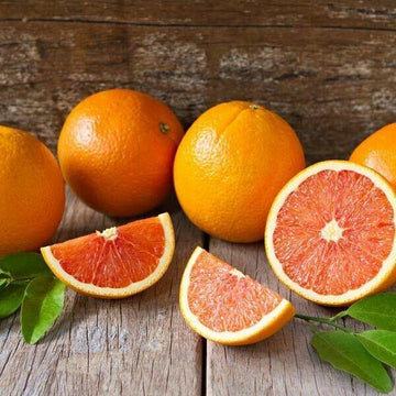 Cara Cara Red Navel Orange Tree - 24-36